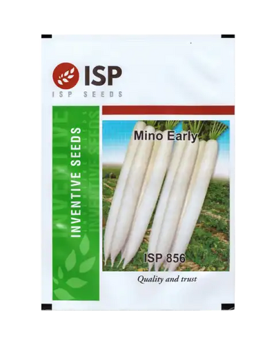 ISP856 RADISH - MINU EARLY