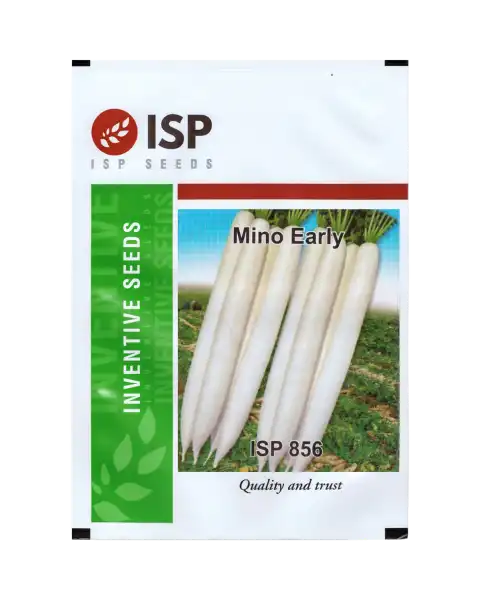 ISP856 RADISH - MINU EARLY