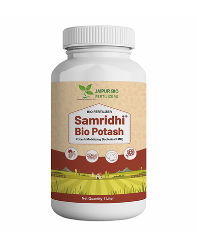 Samridhi Bio Potash (Potassium Mobilizing Bacteria - KMB)