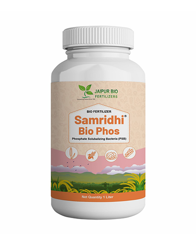 Samridhi Bio Phos (Phosphate Solubilizing Bacteria - PSB)