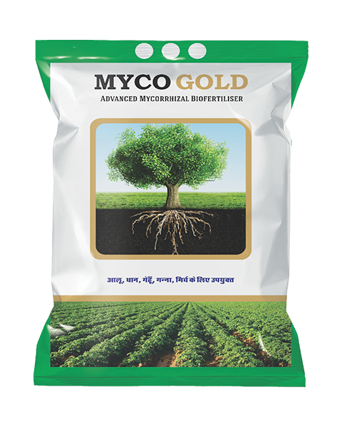 MYCO GOLD (VESICULAR ARBUSCULAR MYCORRHIZAL - VAM) GRANULES