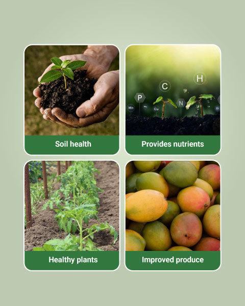 Janatha Amino Pro Growth Promoter