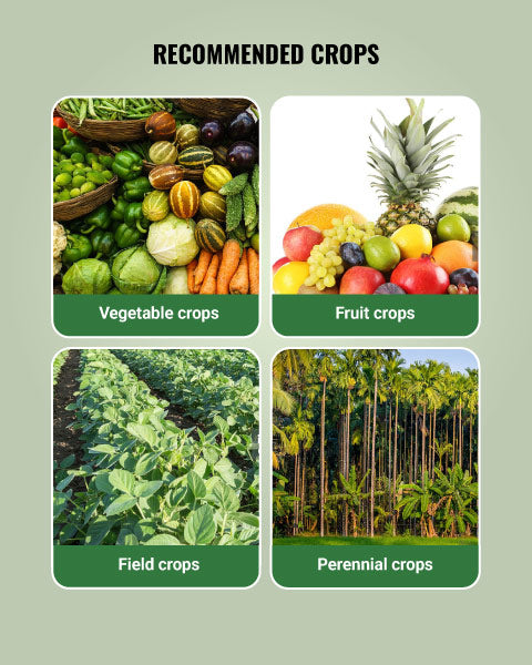 Janatha Amino Pro Growth Promoter