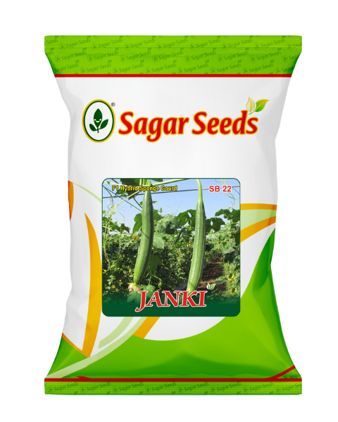 Sagar Janki F1 Sponge gourd