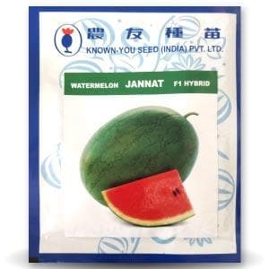 JANNAT WATERMELON