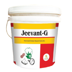 ATKOTIYA AGRO JEEVANT-G (SEAWEED EXTRACT BALL)