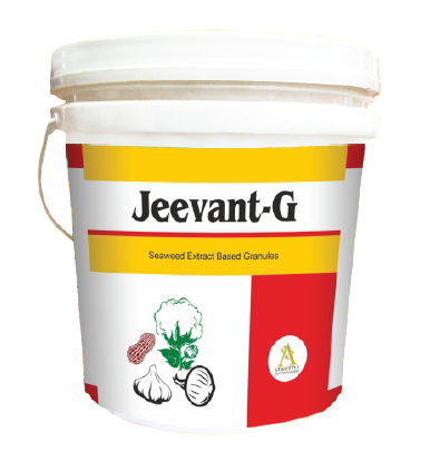 ATKOTIYA AGRO JEEVANT-G (SEAWEED EXTRACT BALL)