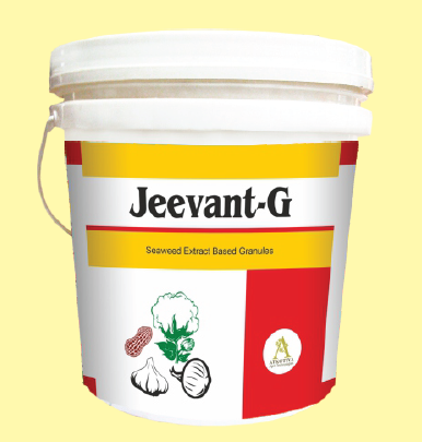 ATKOTIYA AGRO JEEVANT-G (SEAWEED EXTRACT BALL)