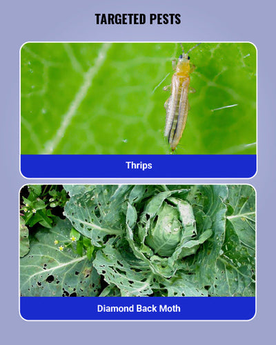 Jump Insecticide