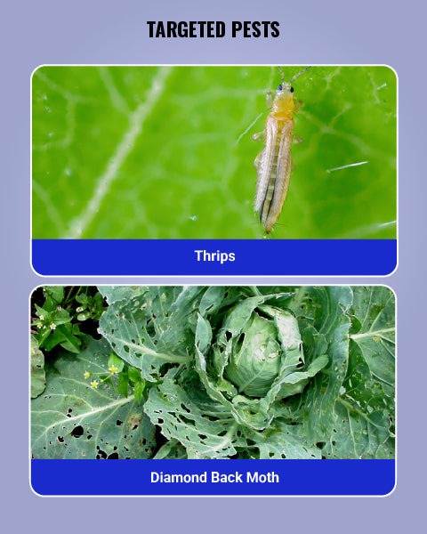Jump Insecticide