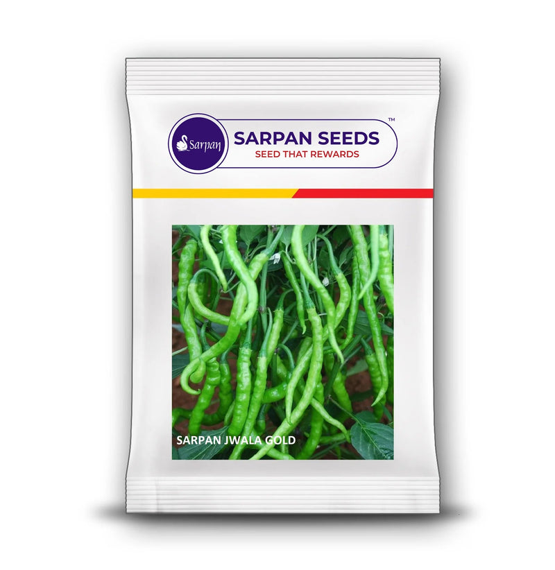 SARPAN JWALA GOLD CHILLI SEEDS