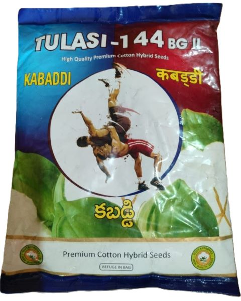 Kabaddi BG II Cotton