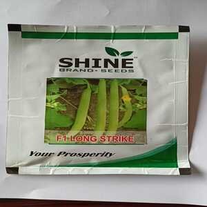 SHINE KAKRI (LONG MELON) F1 LONG STRIKE SEEDS