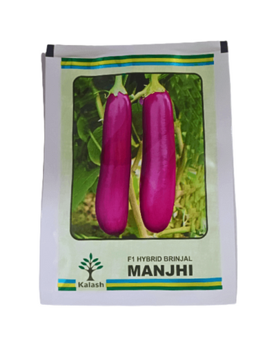 Kalash Manjhi F1 Hybrid brinjal Seeds