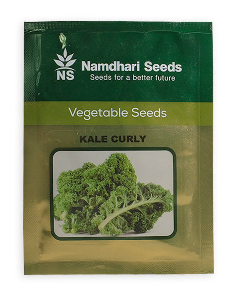 KALE CURLY F1 NS 10251 KGP