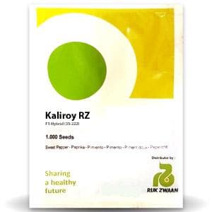 KALIROY RZ F1 YELLOW CAPSICUM