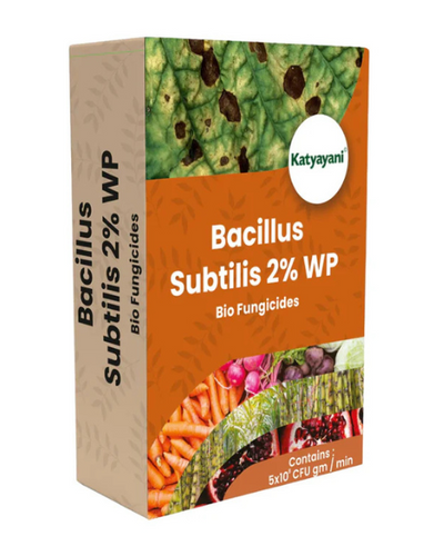 KATYAYANI BACILLUS SUPP 2% POWDER