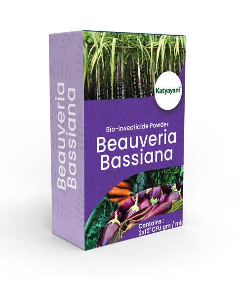 KATYAYANI BEAUVERIA BASSIANA BIO INSECTICIDE POWDER