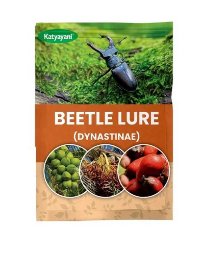 katyayani Beetle Lure