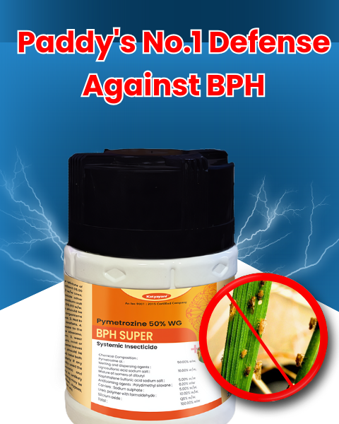 KATYAYANI BPH SUPER | INSECTICIDE