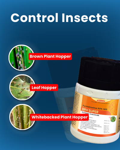 KATYAYANI BPH SUPER | INSECTICIDE