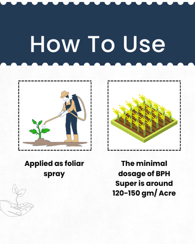 KATYAYANI BPH SUPER | INSECTICIDE