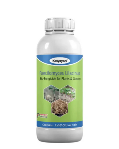 KATYAYANI PAECILOMYCES LILACINUS BIO NEMATICIDE