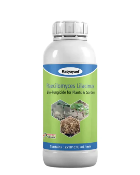 KATYAYANI PAECILOMYCES LILACINUS BIO NEMATICIDE