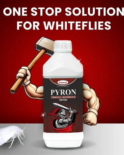 KATYAYANI PYRON (PYRIPROXYFEN 5% + DIAFENTHIURON 25% SE)