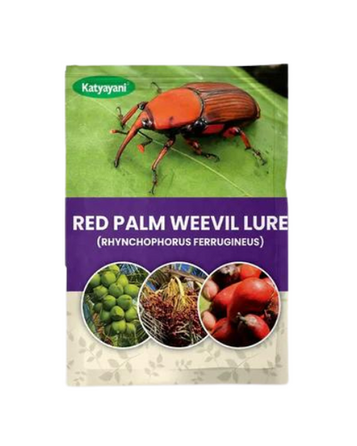 Katyayani  Red Palm Weevil Lure