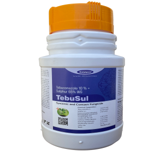 KATYAYANI TEBUSUL (EFFECTIVE FUNGICIDE)