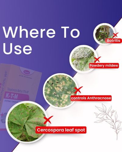 KATYAYANI THIOPHANATE (SYSTEMIC FUNGICIDE)