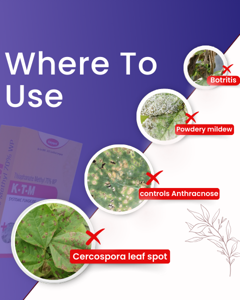 KATYAYANI THIOPHANATE (SYSTEMIC FUNGICIDE)