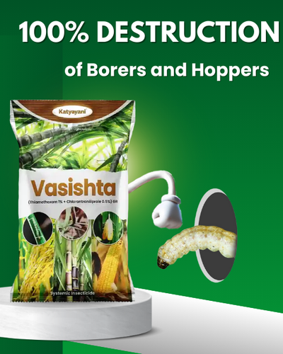 KATYAYANI VASISHTA (THIAMETHOXAM 1% + CHLORANTRANILIPROLE 0.5%)