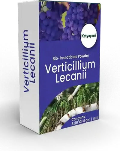 KATYAYANI VERTICILLIUM LECANII BIO INSECTICIDE POWDER