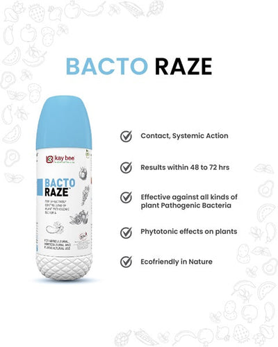 KAY BEE BACTO RAZE BIO BACTERICIDE