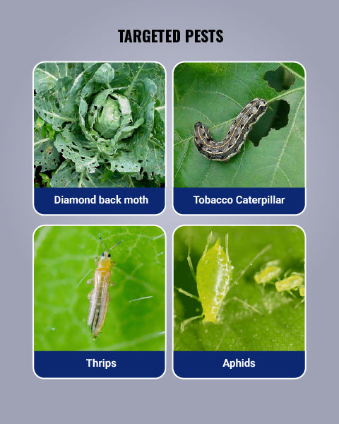 Keefun Insecticide