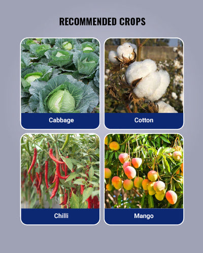 Keefun Insecticide