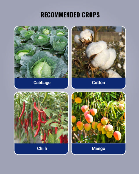 Keefun Insecticide