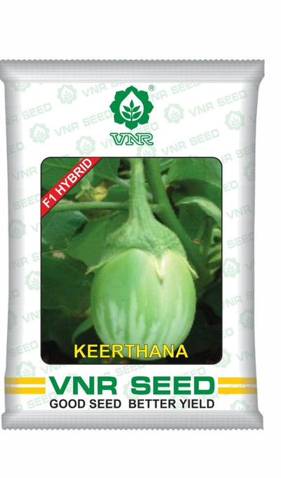 Keerthana F1 Hybrid Brinjal Seeds