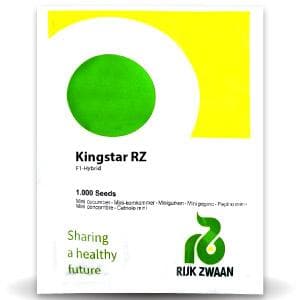 KINGSTAR RZ F1 CUCUMBER