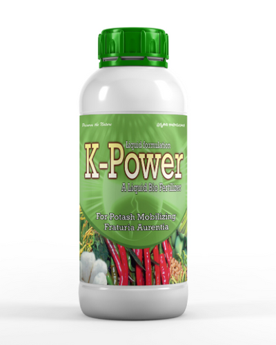 KN Biosciences K Power Liquid Bio Fertilizer