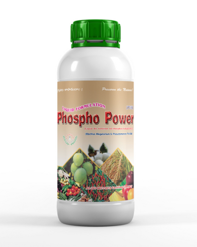 KN Biosciences Phospho Power Liquid Bio Fertilizer