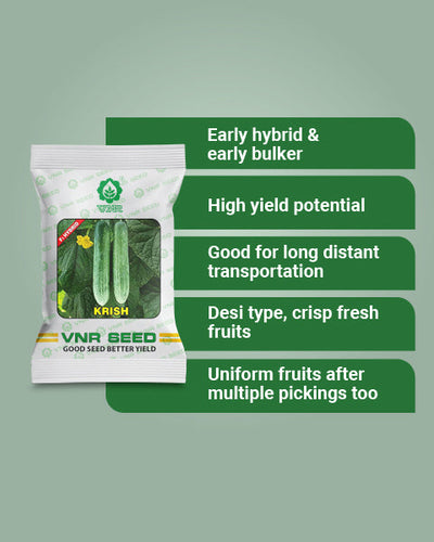 Krish F1 Hybrid Cucumber Seeds