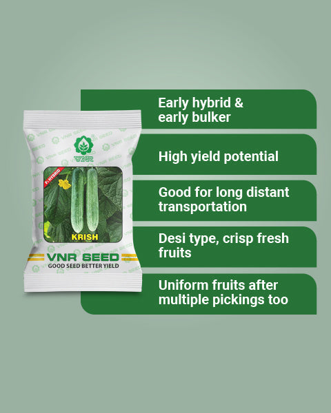 Krish F1 Hybrid Cucumber Seeds