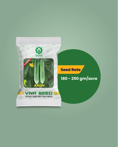 Krish F1 Hybrid Cucumber Seeds