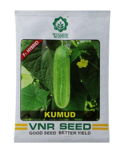 Kumud Cucumber Seeds