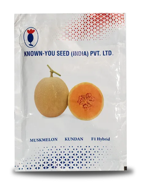 KUNDAN F1 HYBRID MUSKMELON SEEDS