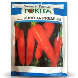 KURODA CARROT