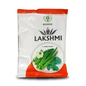 LAKSHMI BHENDI (OKRA) ( लक्ष्मी भिंडी )